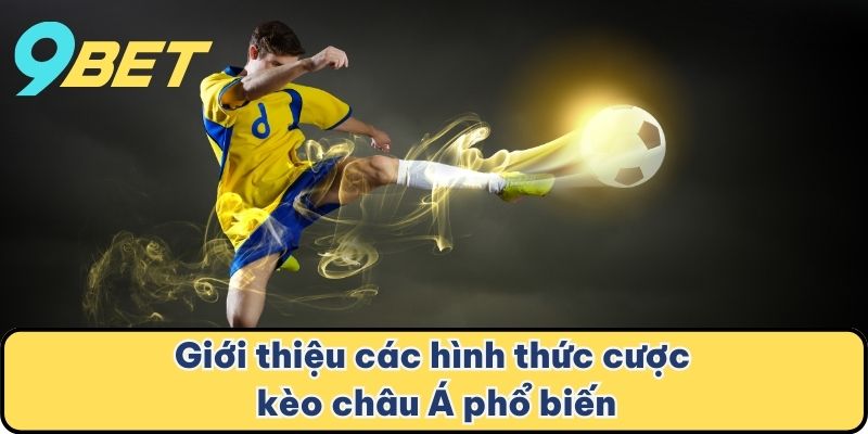 Giới thiệu các hình thức cược kèo châu Á phổ biến